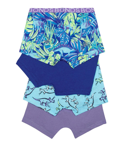 Boys Trunk 4 Pack